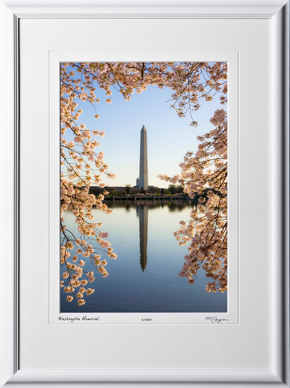 S090403E Washington Memorial - Washington DC Cherry Blossom Festival - shown as 12x18