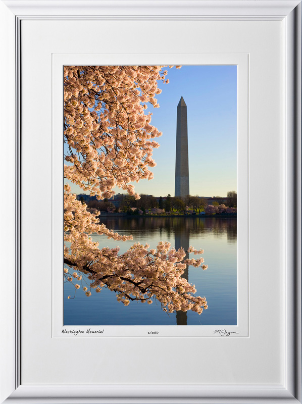 S090403F Washington Memorial - Washington DC Cherry Blossom Festival - shown as 12x18