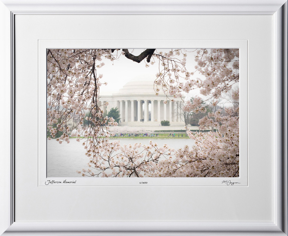 S090402B Jefferson Memorial - Washington DC Cherry Blossom Festival - shown as 10x14