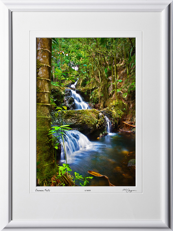 S080404B Onomea Falls - Big Island Hawaii - shown as 12x18