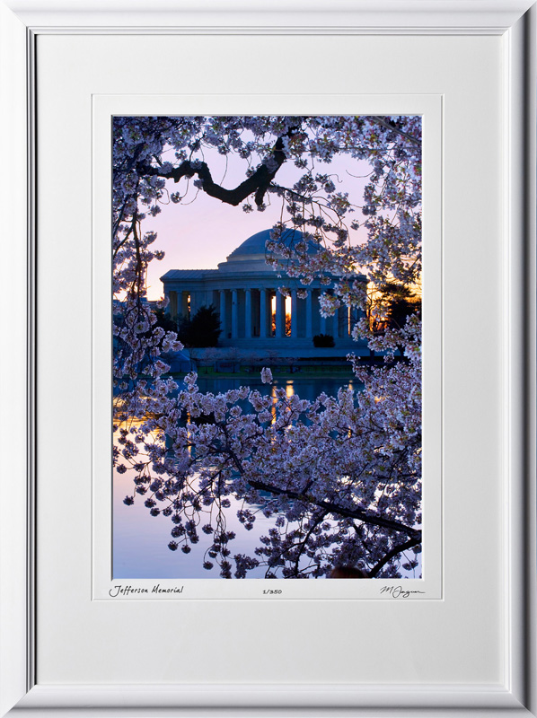 S090403B Jefferson Memorial - Washington DC Cherry Blossom Festival - shown as 12x18