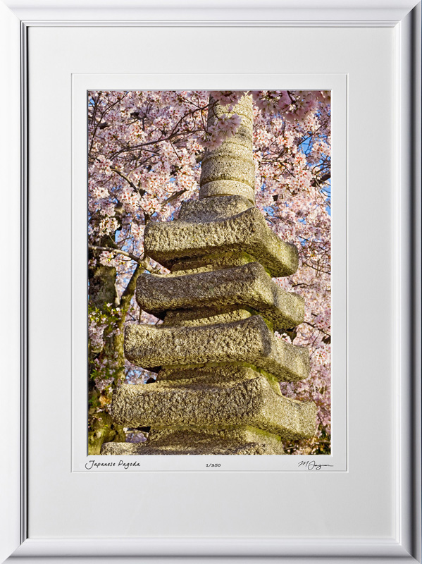 S090403H Japanese Pagoda - Washington DC Cherry Blossom Festival - shown as 12x18