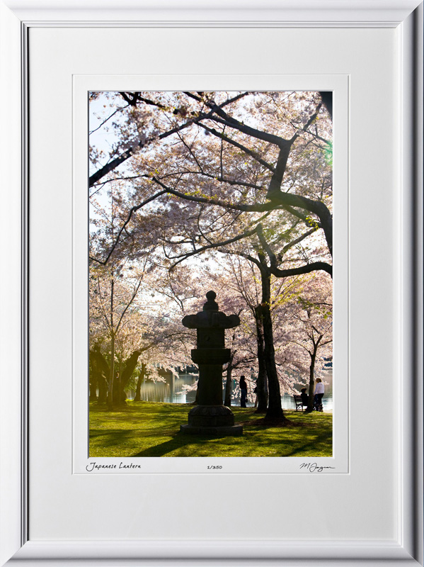 S090403J Japanese Lantern - Washington DC Cherry Blossom Festival - shown as 12x18