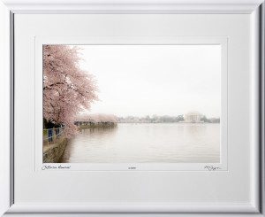 S090402C Jefferson Memorial - Washington DC Cherry Blossom Festival - shown as 10x14