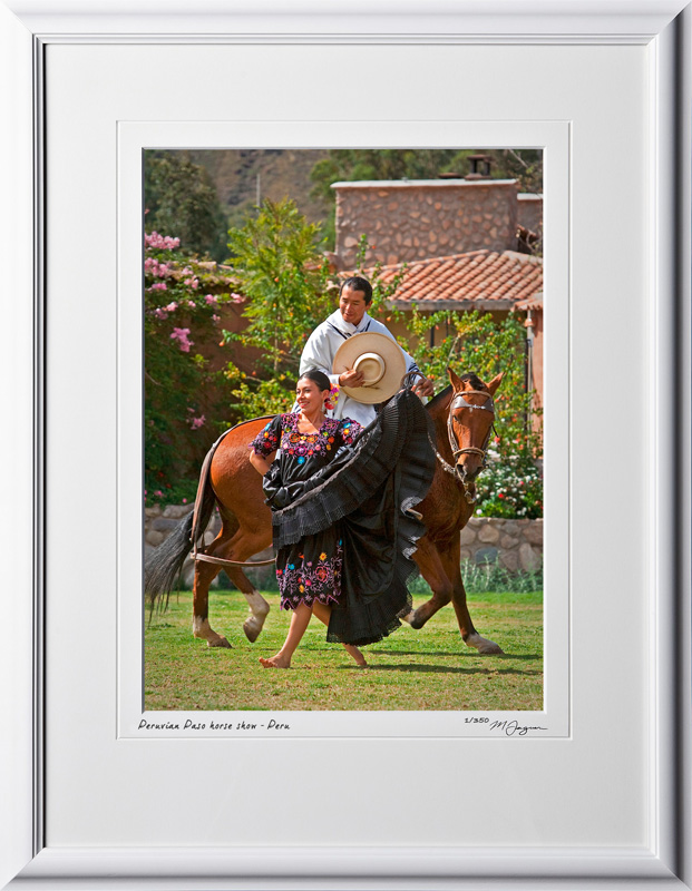 P110516 037 Peruvian Paso horse show - shown as 10x14