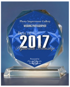 Best of Plymouth MI 2017 award